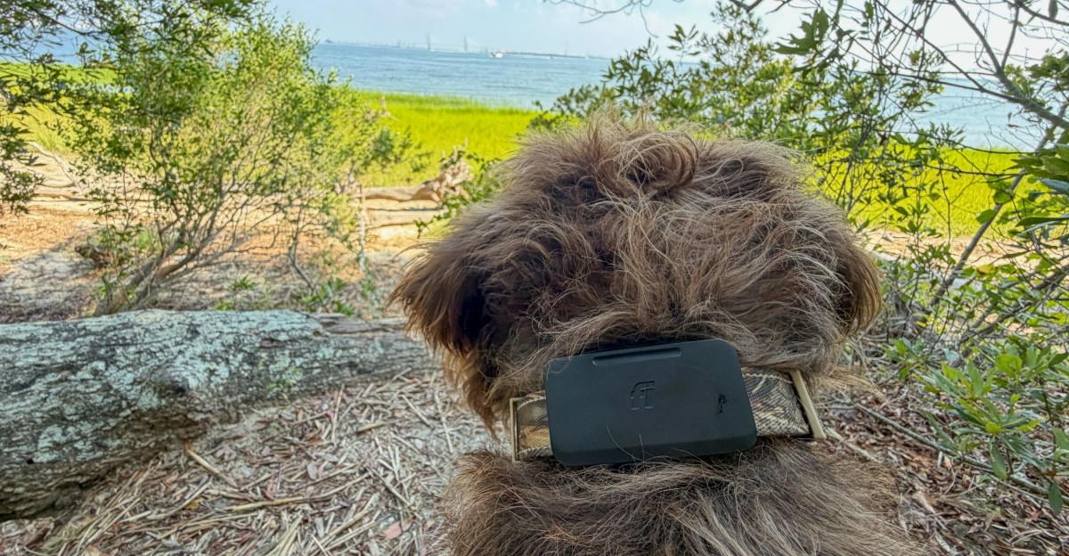Fi Ultra debuts with advanced GPS pet tracking and expanded battery life