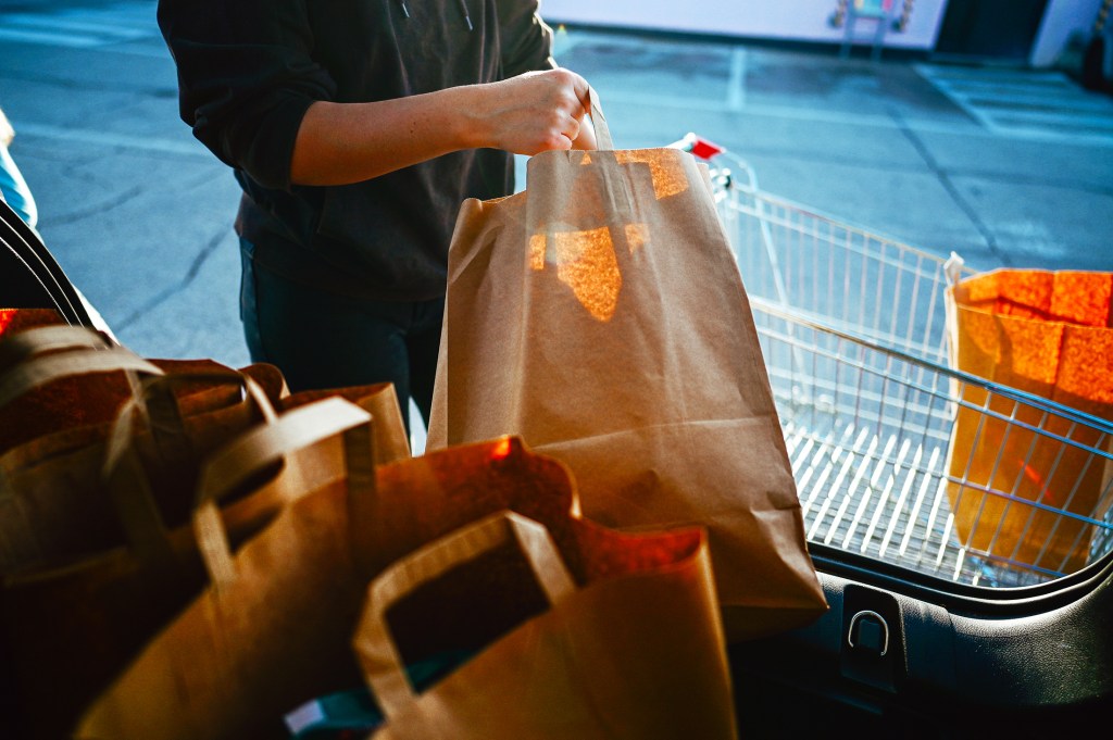 Paper Bags Have Higher Carbon Footprint Than Plastics Over Their Lifecycle