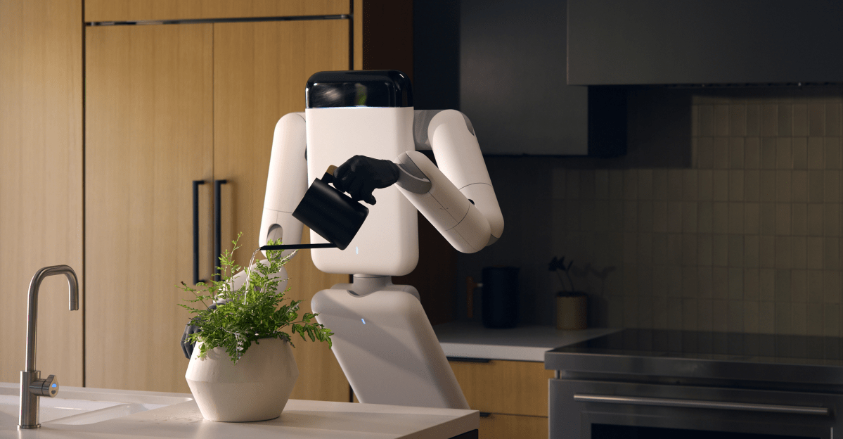 The Future of Humanoid Robots: Function Over Form